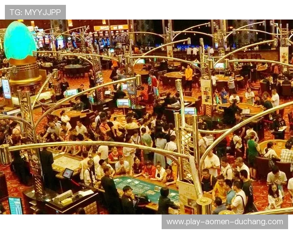 澳门娱乐场2008：2008年澳门博彩业的重大事件与发展趋势分析