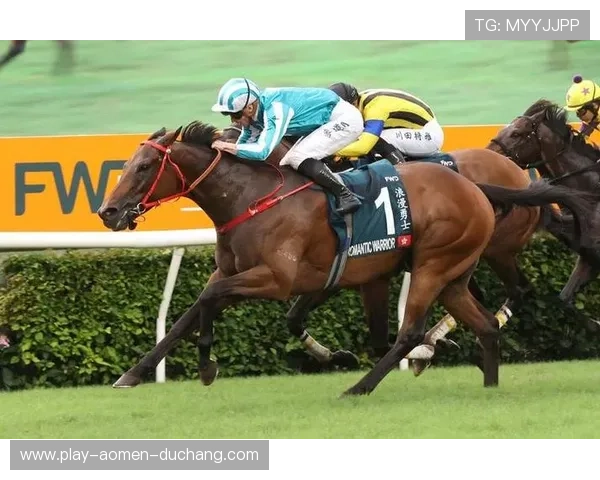 澳门赛马今天的比赛日程安排与赛事亮点总结