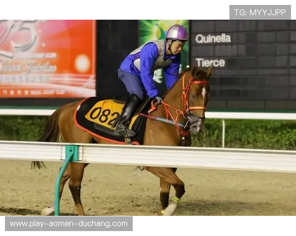 澳门赛马玩法介绍：了解赛马流程与投注方式的详细指南